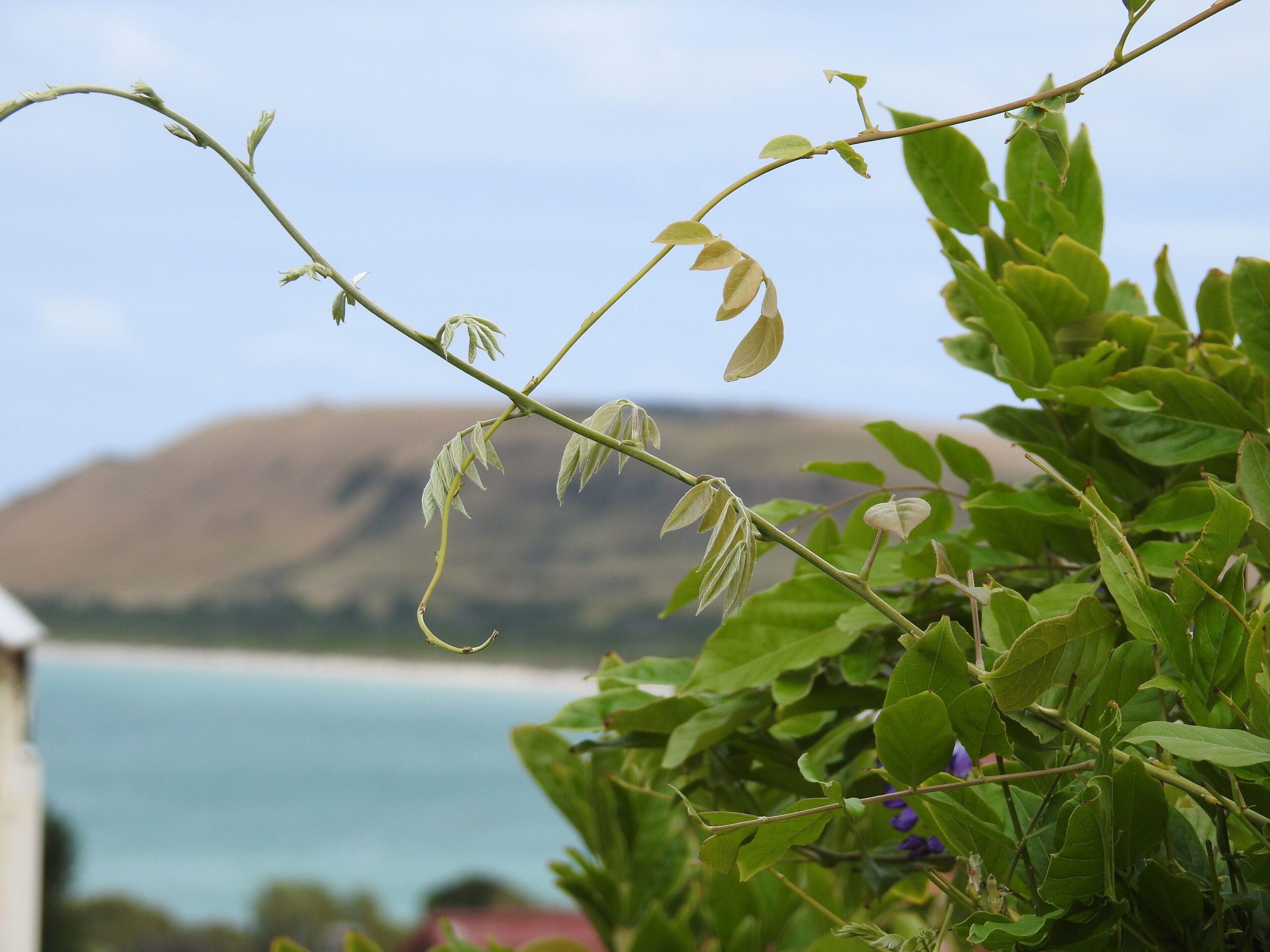 Ellie's Spa Cottage - Stanley — image 24