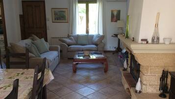 Télévision, cheminée, lecteur de DVD, livres