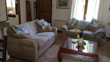 Een televisie, een open haard, een dvd-speler en boeken