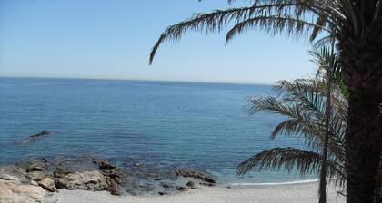 Chalet la Vigia 15 mins from Sotogrande, rural country house in 20 acres