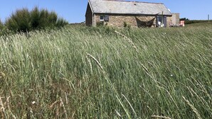 Une maison en pierre avec un toit en pente, entourée d’herbes hautes et sous un ciel bleu dégagé.