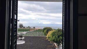 Blick durch ein Fenster mit geöffneten Rollläden, der einen Außenbereich mit Kiesfläche, einem weißen Zaun und etwas Grün zeigt.