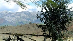 Un recinto di legno rustico con una bicicletta appoggiata, un albero in primo piano e una catena montuosa sullo sfondo.