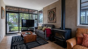 TV, fireplace, DVD player