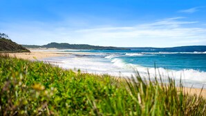 Une plage avec des vagues, un rivage sablonneux et une végétation verdoyante.