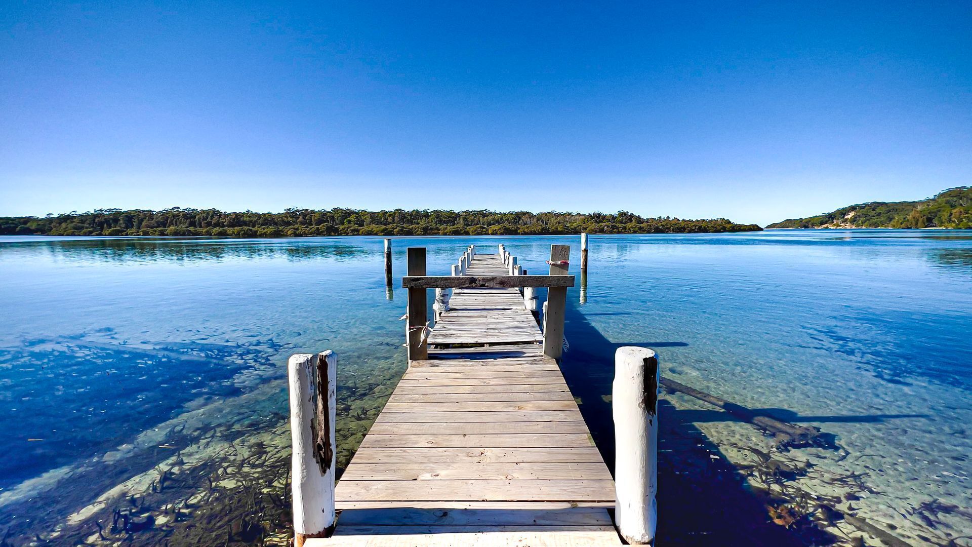 A wooden pier extending into a clear blue lake, surrounded by greenery.