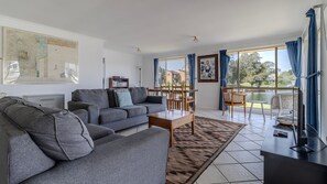 Smart TV, DVD player, books