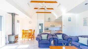 Télévision, cheminée, lecteur de DVD