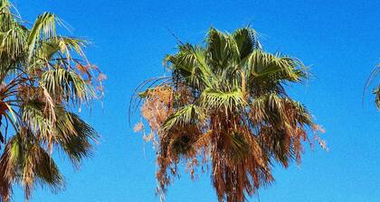 Luxury Elle Ocean Villa