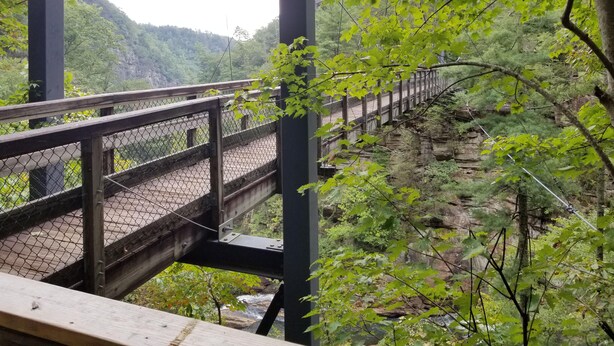 Un puente de madera con barandilla de metal, rodeado de exuberante vegetación y un paisaje rocoso.