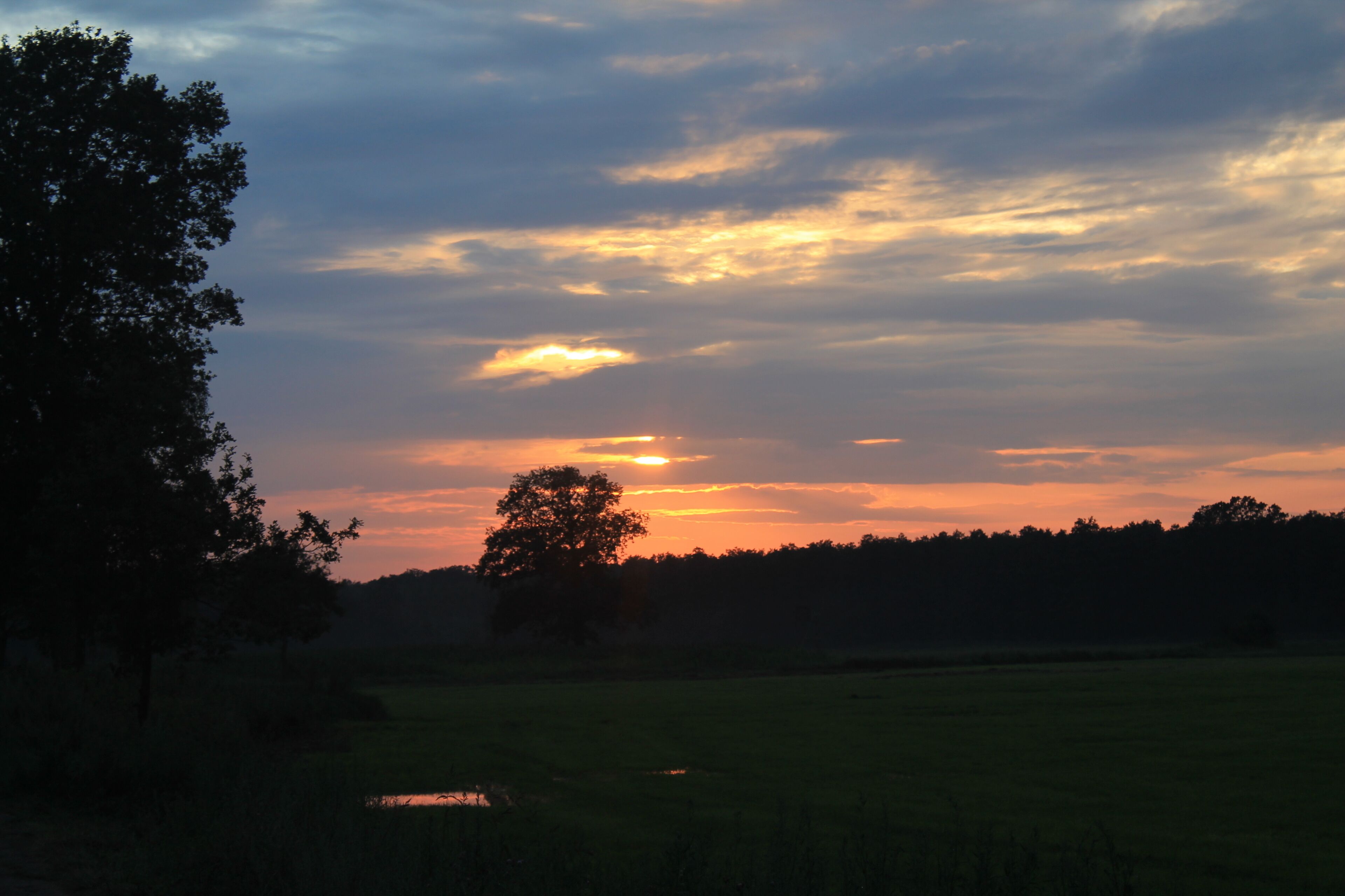 Solnedgang over et mark med træsilhuet og et lille vandareal.
