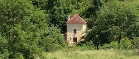 Esterni