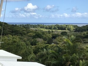 Vista desde la propiedad