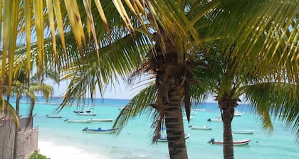 La Salamandra : Private House With Swimming Pool Near Caribbean Sea And Golf