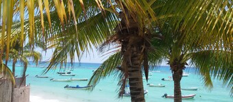 La Salamandra : Private House With Swimming Pool Near Caribbean Sea And Golf