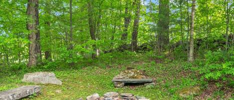 A forest with a stone fire pit surrounded by rocks and greenery.