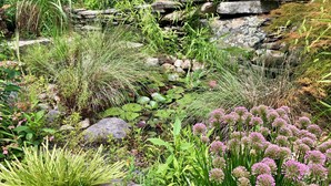 Un jardín con diversas plantas y un muro de piedra.