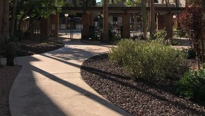 A pathway leading to a building surrounded by palm trees and a landscaped garden. - Best Pool in the Area!- Walk to Everything Old Town! -2 Private Master Suites (Scottsdale)