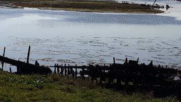 A waterfront view with a wooden dock extending into a calm body of water.