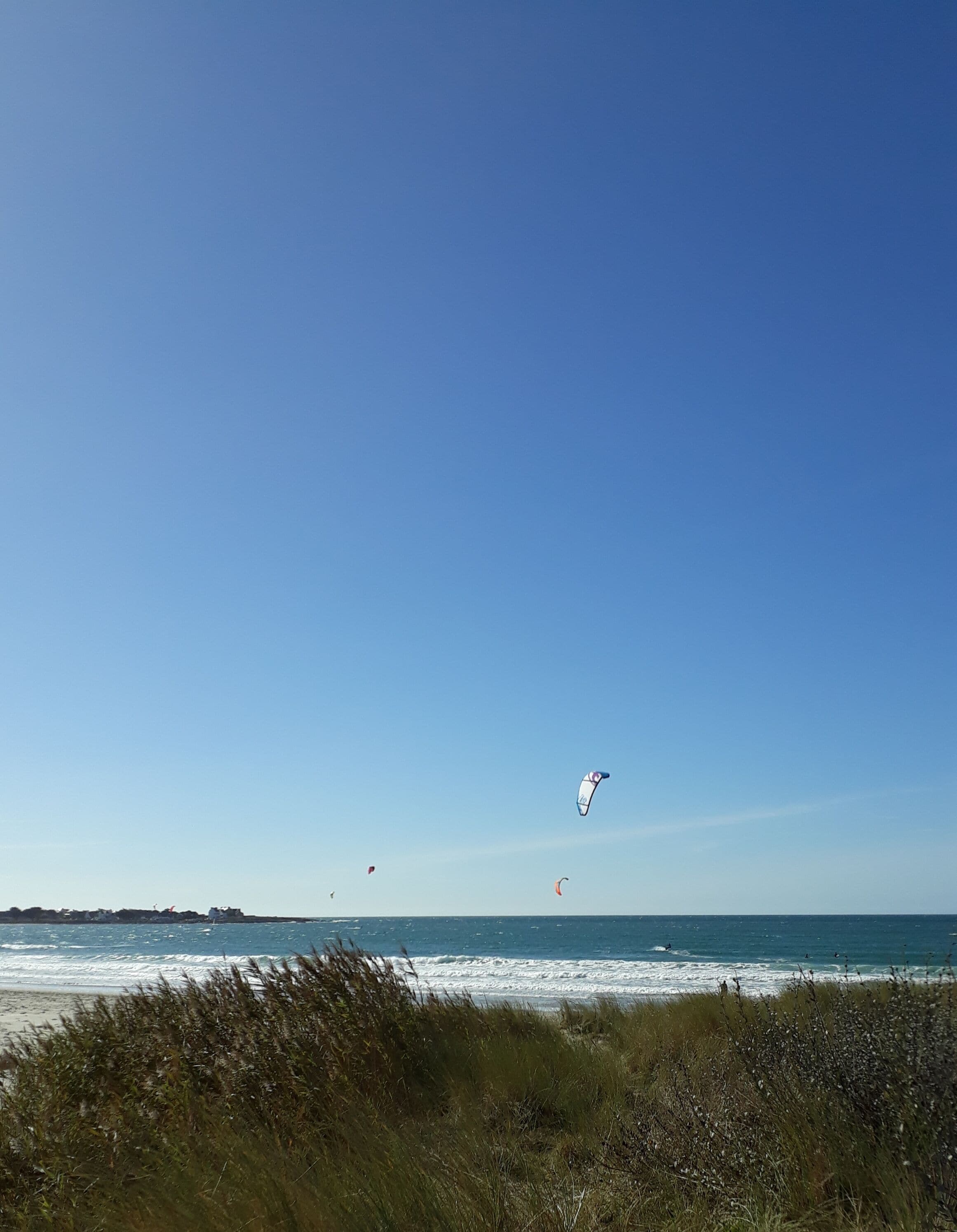 Ein Strand mit blauem Himmel und ein paar flatternden Drachen.