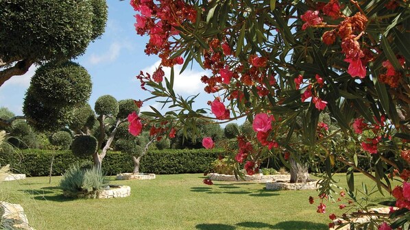 Terrain de l’hébergement 