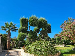 A landscaped garden with various trees and shrubs, a stone pathway, and a clear blue sky.