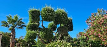 Casa Nidolino - your holiday home in Puglia, Italy