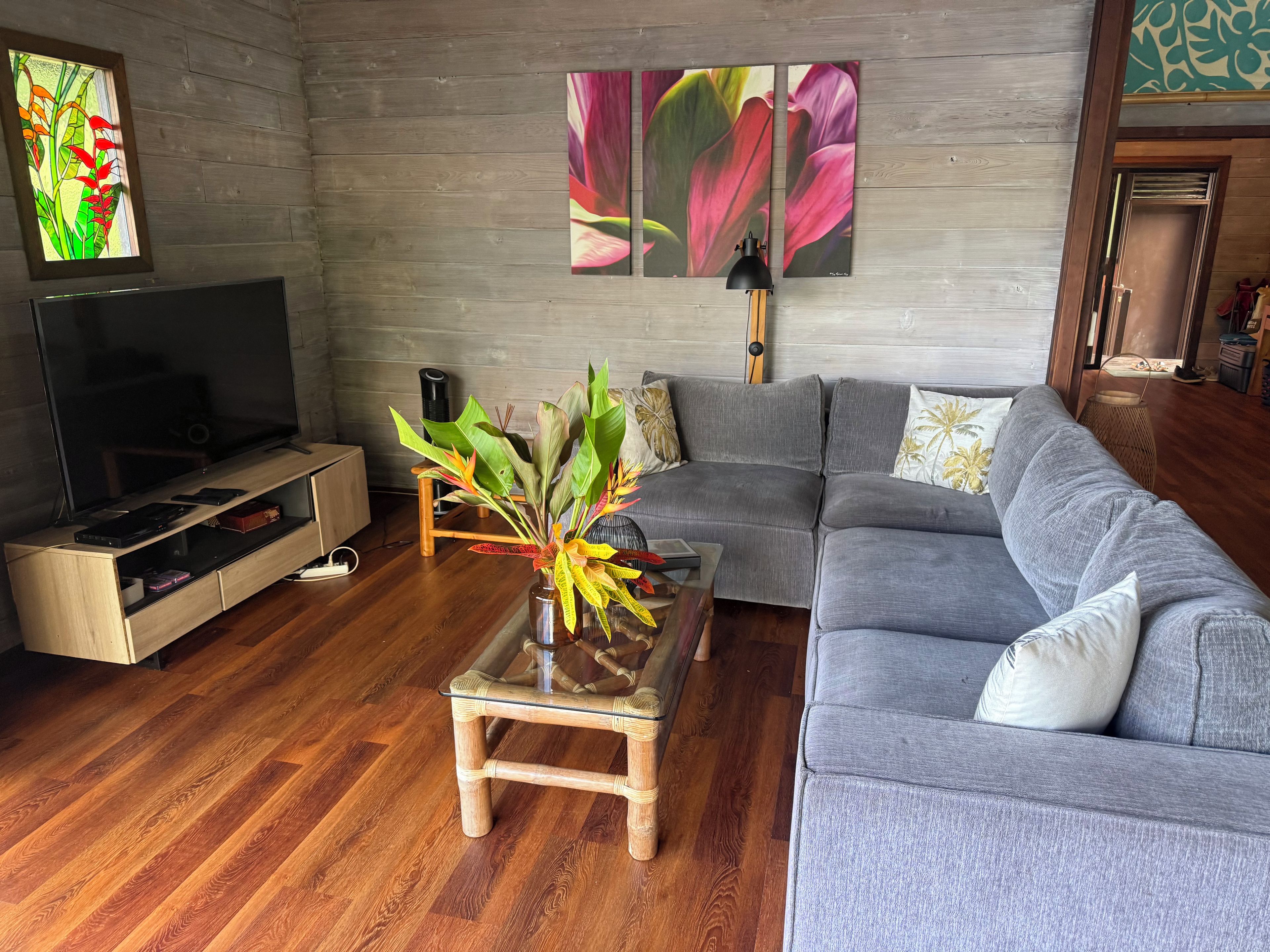 Un salon avec un canapé gris, une table basse en verre, un téléviseur posé sur un meuble en bois et une plante sur la table basse.
