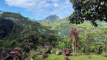 Un jardin luxuriant, parsemé de diverses plantes et de rochers, un ciel dégagé et une vue lointaine sur un paysage montagneux.
