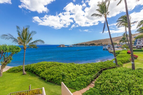 A coastal view with a clear sky, palm trees, and a marina with boats.