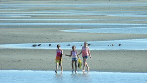 Ein Strand mit drei Kindern, die am Ufer entlanggehen.