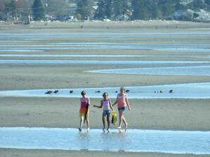 Una spiaggia nelle vicinanze