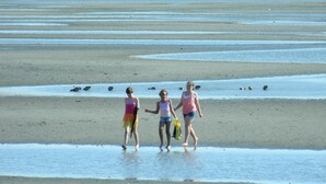 A beach with three children walking along the shore.