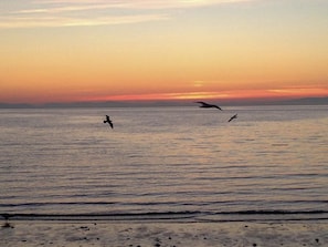 Enjoy a serene beach experience with breathtaking views of the calm sea.
