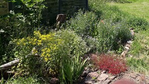 A garden with various plants and flowers, a wooden fence, and a red brick pathway.
