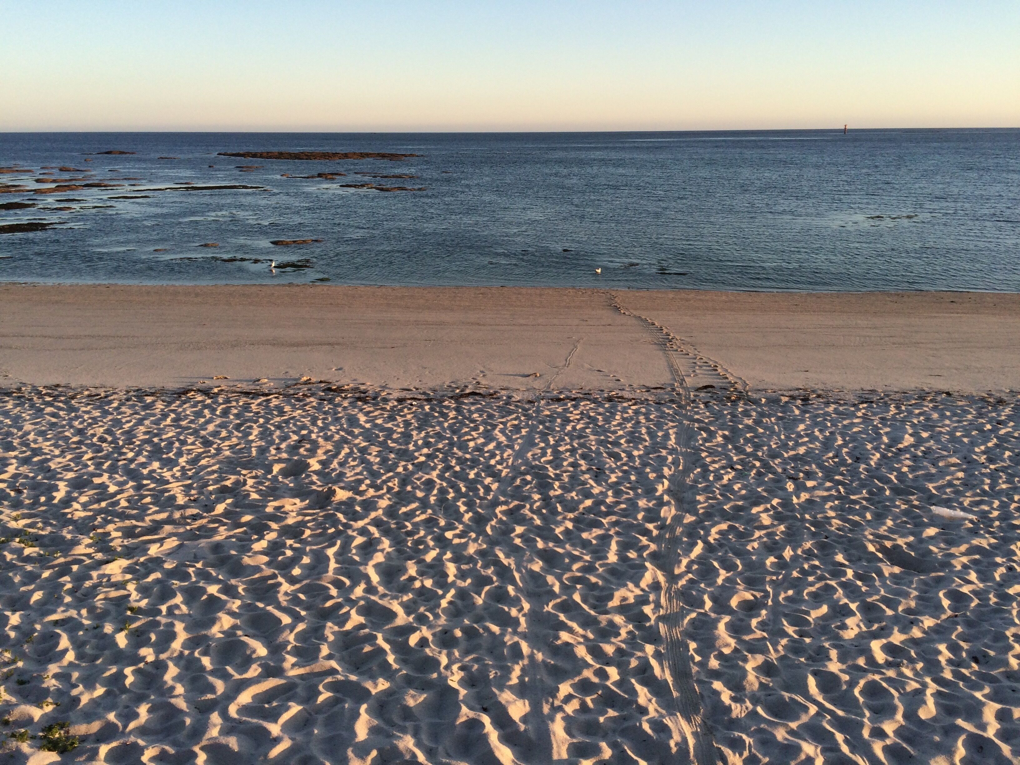 Une plage avec un rivage sablonneux et une mer calme.