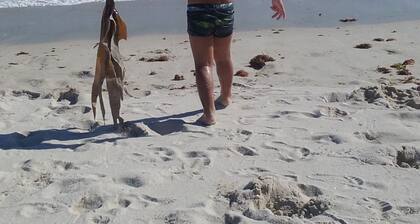 Maison de pĂȘcheur Ă quelques mĂštres de la plage