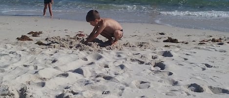 Una spiaggia nelle vicinanze