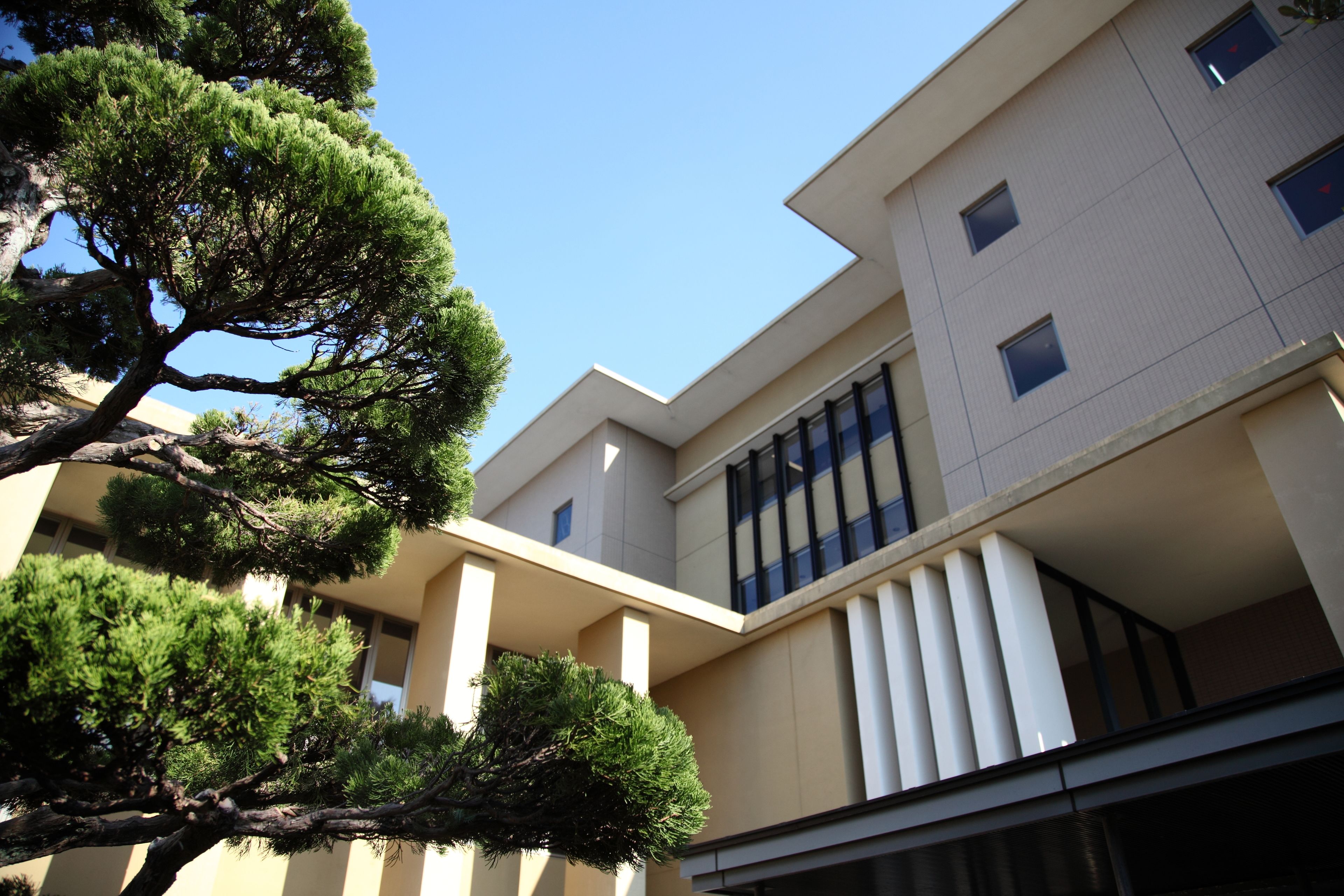 A modern building with a flat roof, multiple windows, and a tree in the foreground.