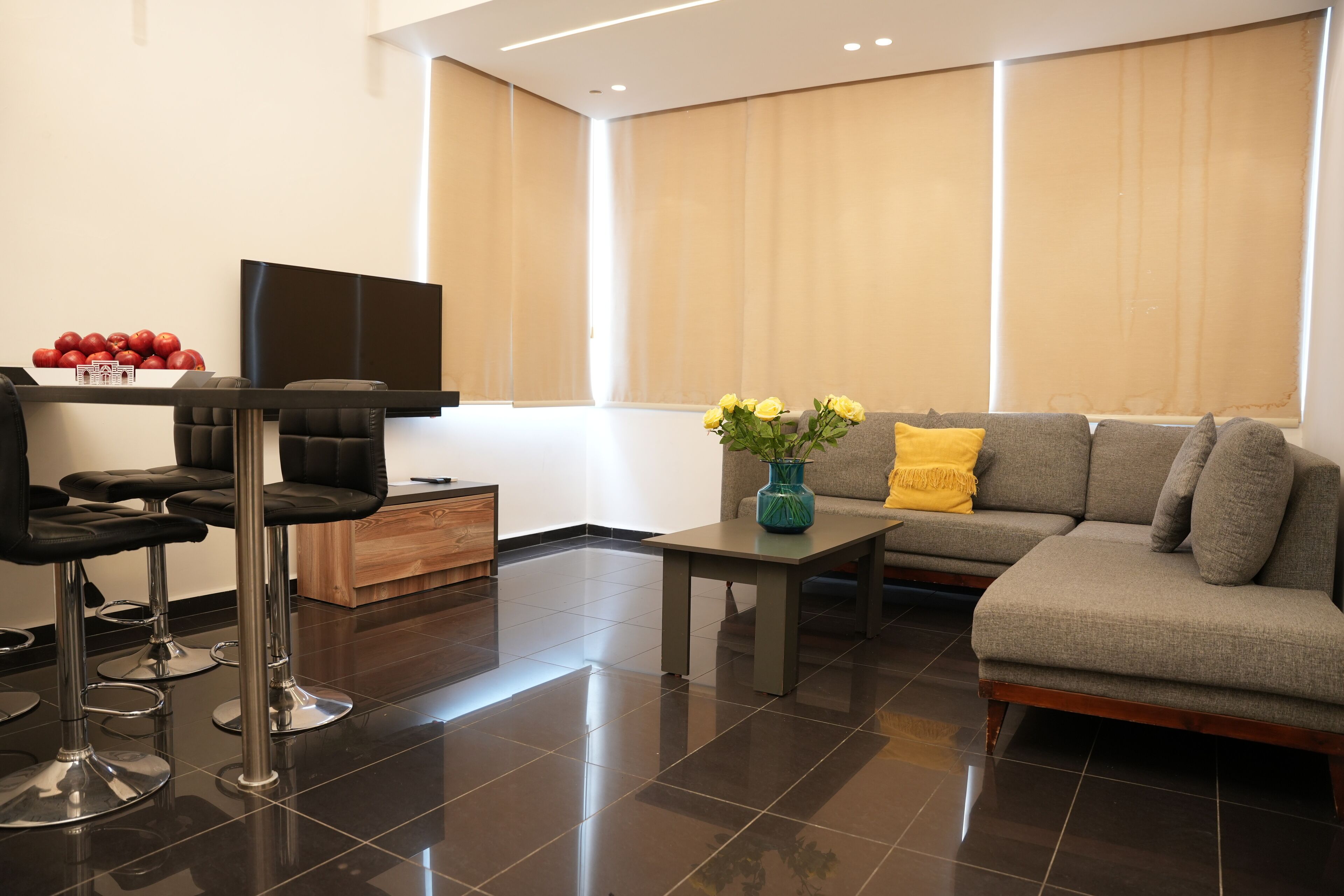 executive studio suite, 1 queen bed | living area | led tv