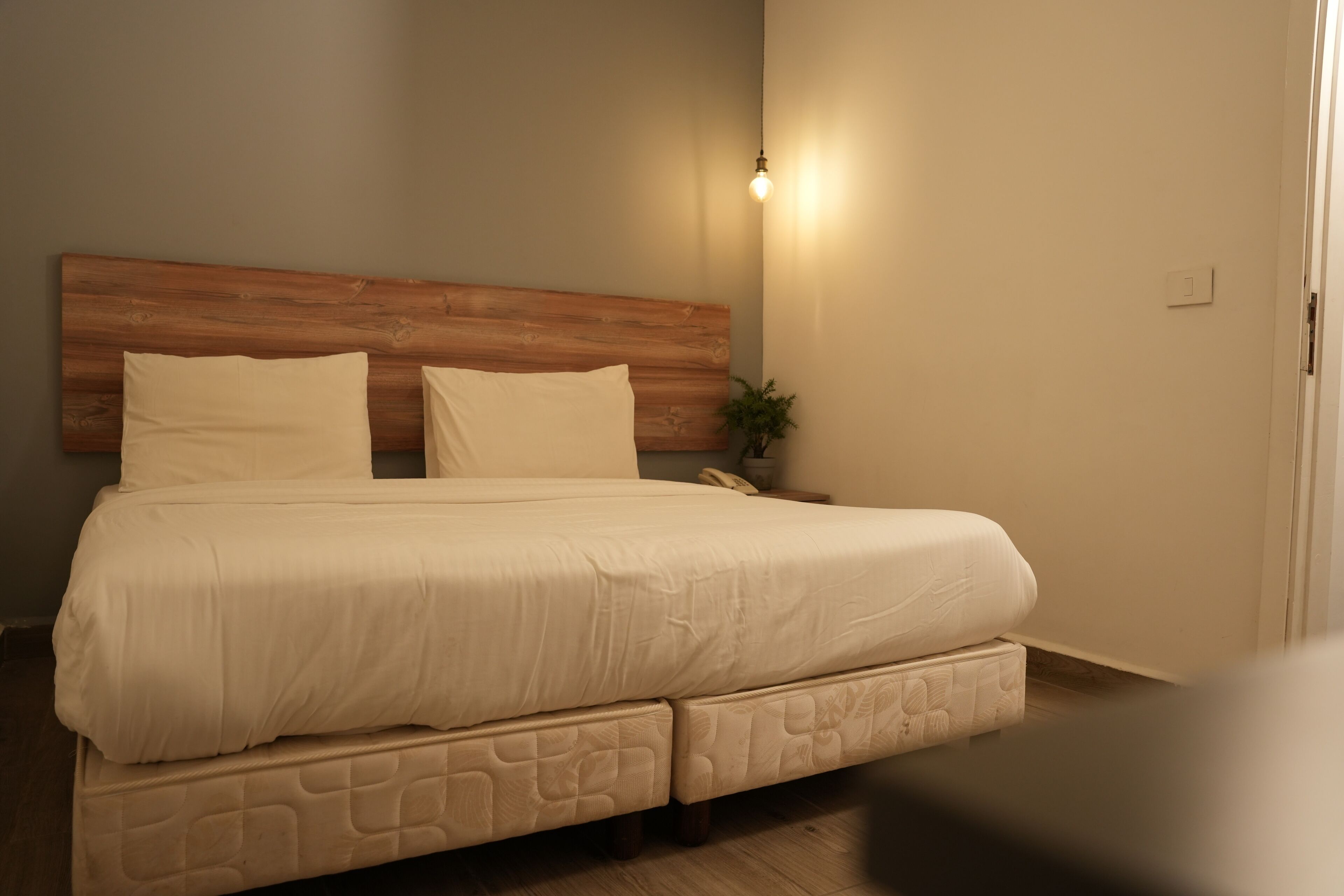 executive studio suite, 1 queen bed | egyptian cotton sheets, premium bedding, minibar, in-room safe