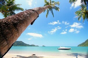 On the beach, snorkeling, kayaking, fishing