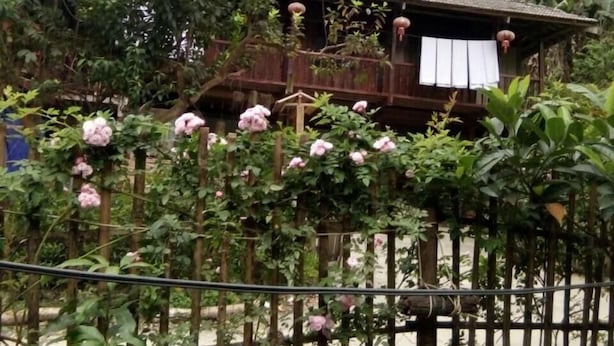 A rustic wooden house with a balcony, surrounded by lush greenery and flowering plants. - Hoang Hop Homestay - Hostel (Ba Be)