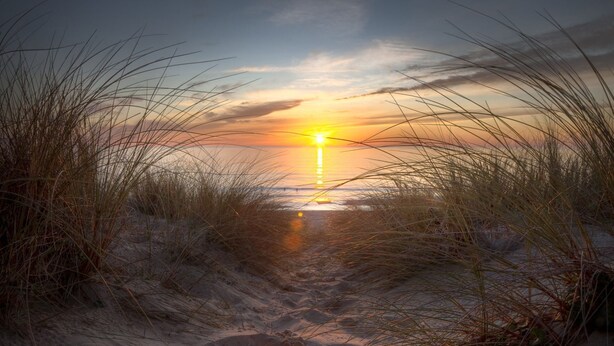 En sti langs stranden der fører hen mod havet, med en solnedgang i baggrunden.