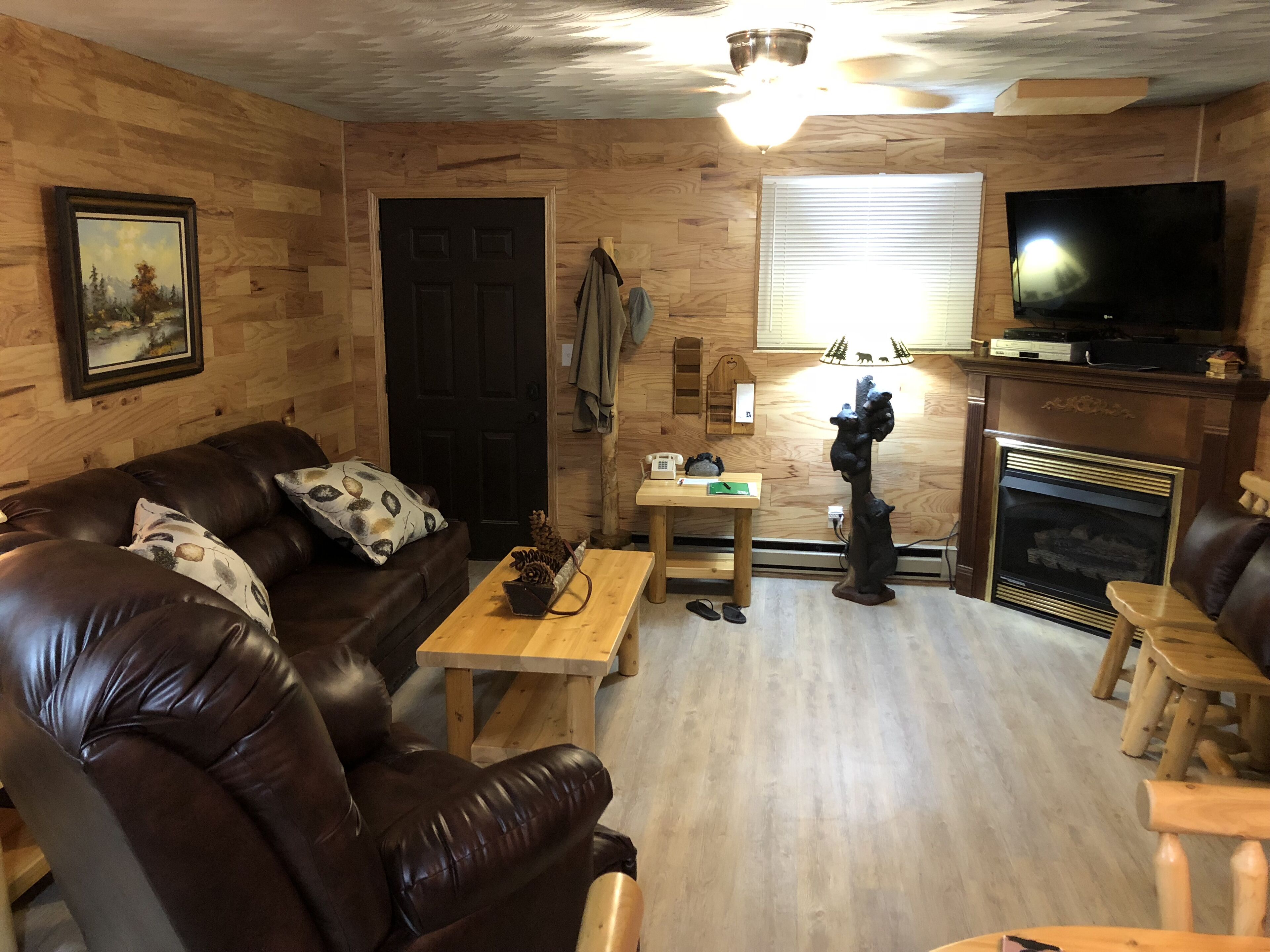 TV connectée, cheminée, lecteur de DVD, livres