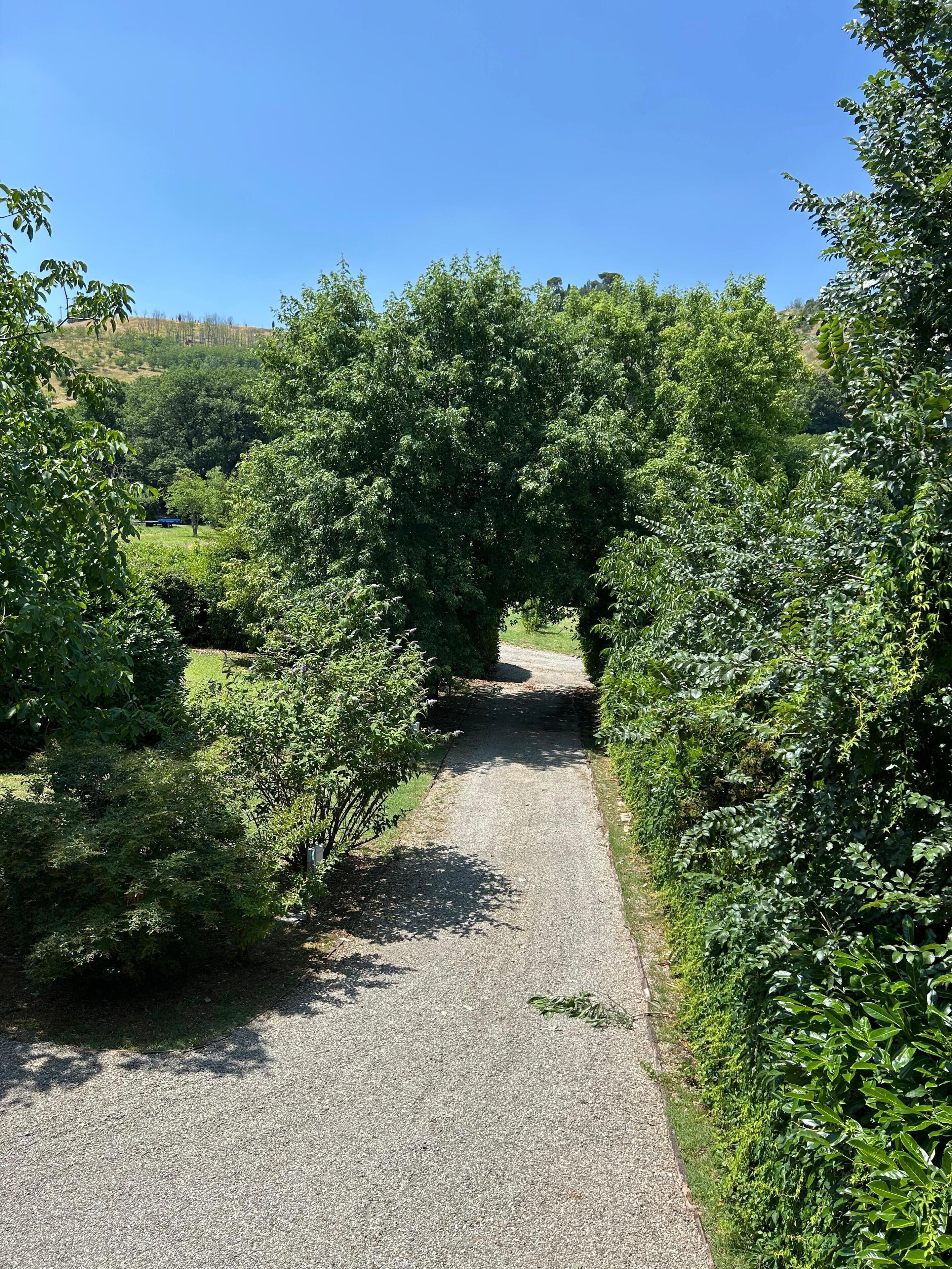 Foto - BolognaRoomscom - Ca' Palazzo