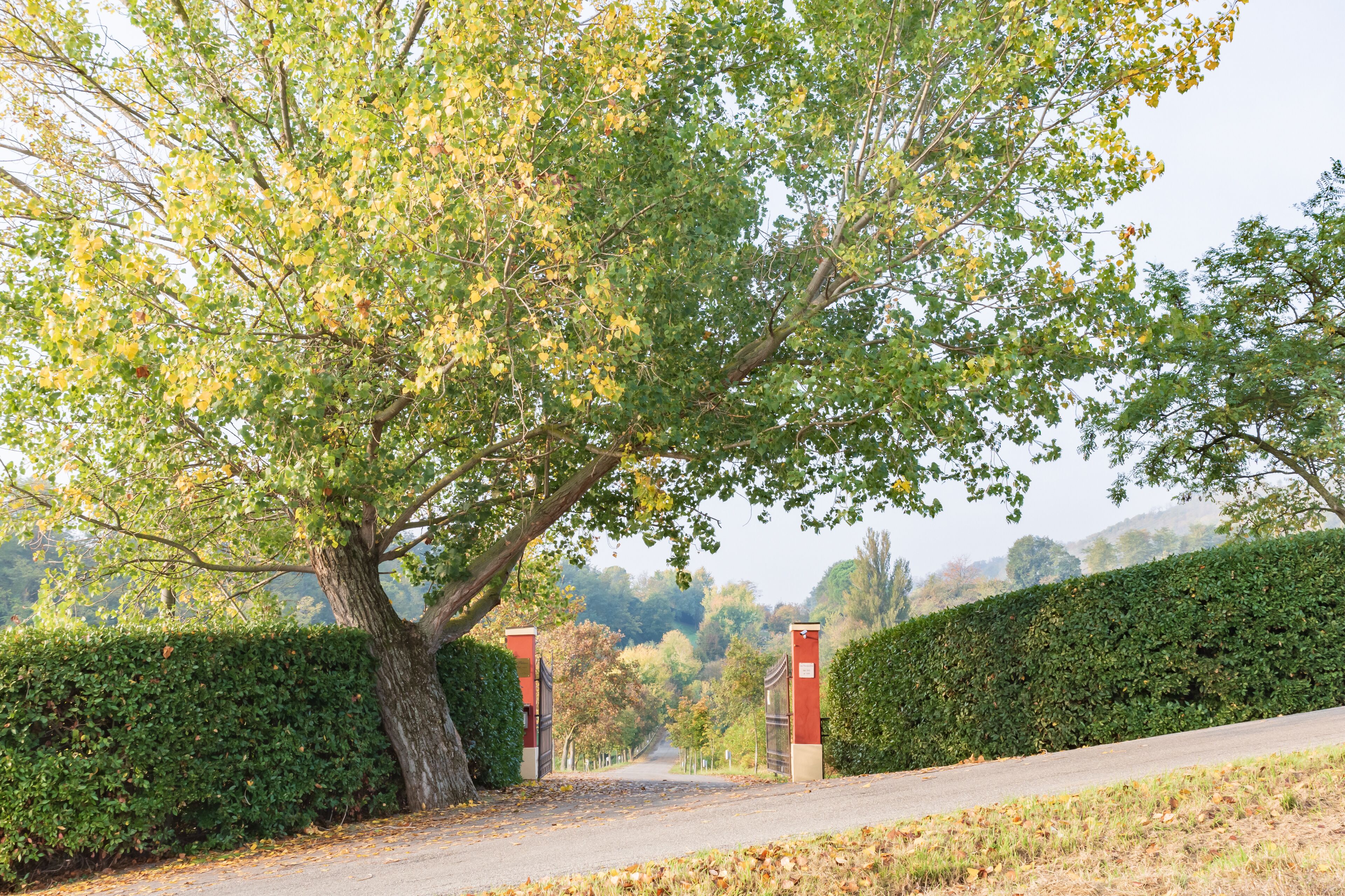 Foto - BolognaRoomscom - Ca' Palazzo