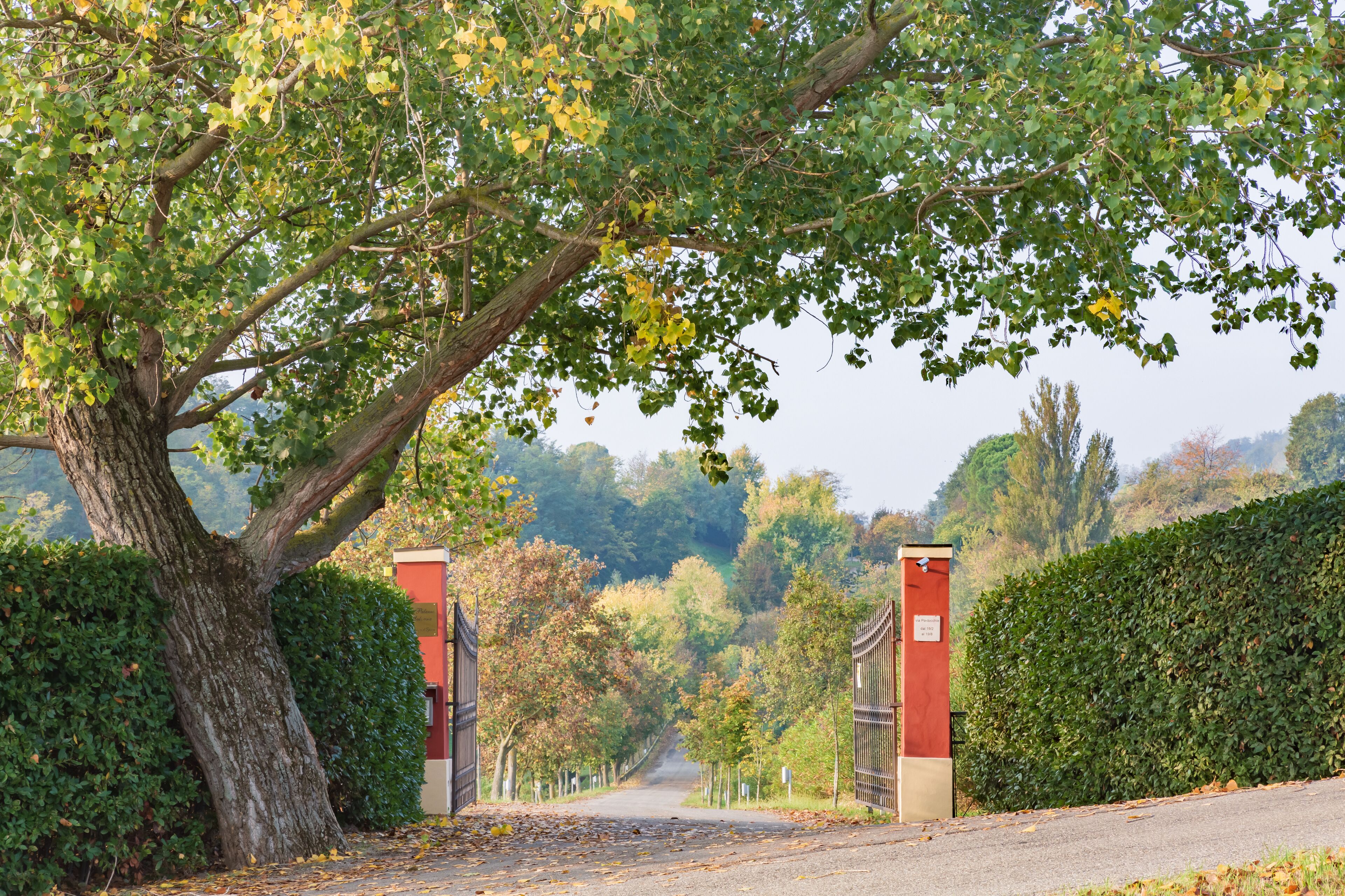 Foto - BolognaRoomscom - Ca' Palazzo