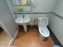 Shower, free toiletries, hair dryer, slippers