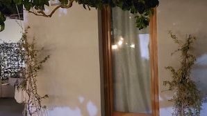 A potted plant with a wooden door and a string of lights above it. - B&B La Mia Isola (San Vito Lo Capo)
